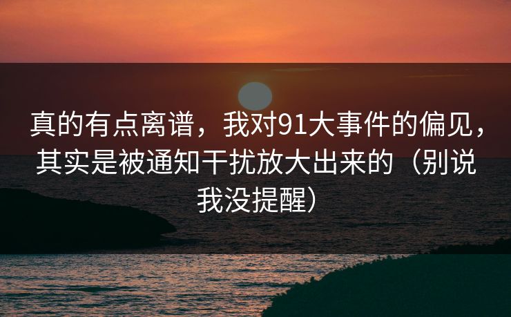 真的有点离谱，我对91大事件的偏见，其实是被通知干扰放大出来的（别说我没提醒）